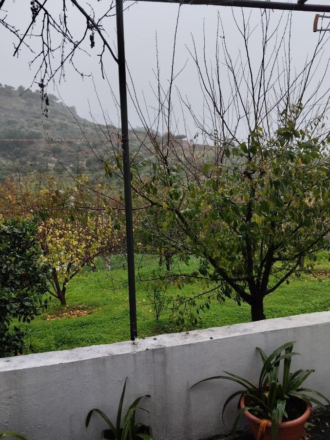 منزل الضيف Sárkhos  في Aggelina المظهر الخارجي الصورة
